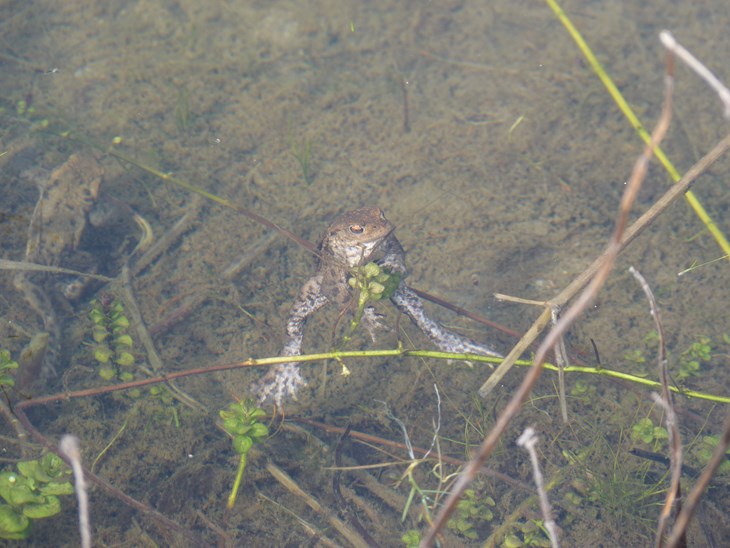 Our.Umbraco.Vorto.Models.VortoValue