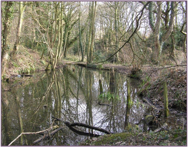 Our.Umbraco.Vorto.Models.VortoValue