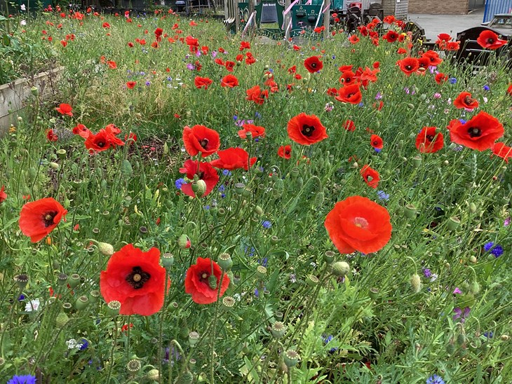 Our.Umbraco.Vorto.Models.VortoValue